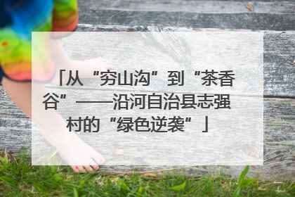 从“穷山沟”到“茶香谷”——沿河自治县志强村的“绿色逆袭”