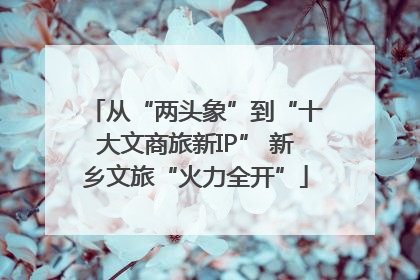 从“两头象”到“十大文商旅新IP” 新乡文旅“火力全开”