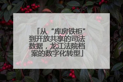 从“库房铁柜”到开放共享的司法数据，龙江法院档案的数字化转型