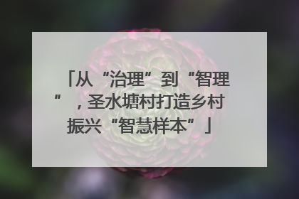 从“治理”到“智理”，圣水塘村打造乡村振兴“智慧样本”