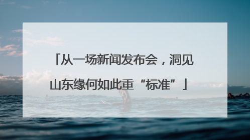 从一场新闻发布会，洞见山东缘何如此重“标准”