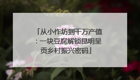 从小作坊到千万产值：一块豆腐解锁昆明呈贡乡村振兴密码
