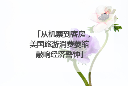 从机票到客房，美国旅游消费萎缩敲响经济警钟