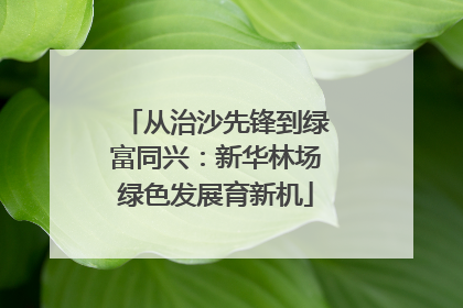 从治沙先锋到绿富同兴：新华林场绿色发展育新机