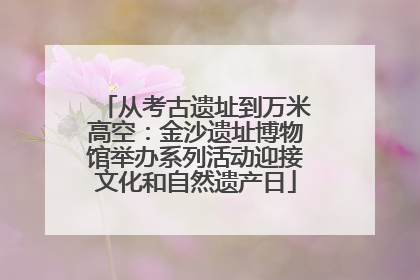 从考古遗址到万米高空：金沙遗址博物馆举办系列活动迎接文化和自然遗产日