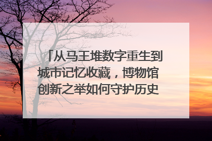 从马王堆数字重生到城市记忆收藏，博物馆创新之举如何守护历史、连接未来？