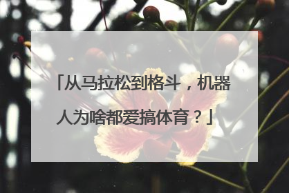 从马拉松到格斗，机器人为啥都爱搞体育？