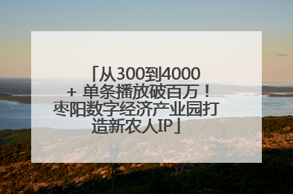 从300到4000+ 单条播放破百万！枣阳数字经济产业园打造新农人IP