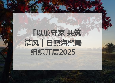 以廉守家 共筑清风｜日照海警局组织开展2025年集中送廉活动