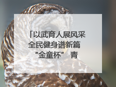 以武育人展风采 全民健身谱新篇 “金童杯” 青少年散打搏击邀请赛圆满落幕