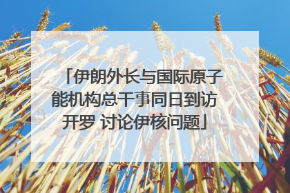 伊朗外长与国际原子能机构总干事同日到访开罗 讨论伊核问题