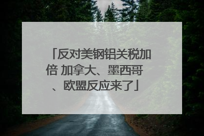 反对美钢铝关税加倍 加拿大、墨西哥、欧盟反应来了