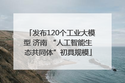 发布120个工业大模型 济南 “人工智能生态共同体”初具规模