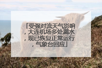 受强对流天气影响，大连机场多处漏水，现已恢复正常运行，气象台回应