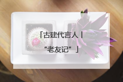 古建代言人丨“老友记”