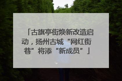 古旗亭街焕新改造启动，扬州古城“网红街巷”将添“新成员”