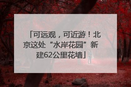 可远观，可近游！北京这处“水岸花园”新建62公里花墙