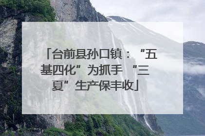 台前县孙口镇：“五基四化”为抓手 “三夏”生产保丰收