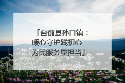台前县孙口镇：暖心守护践初心 为民服务显担当