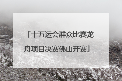 十五运会群众比赛龙舟项目决赛佛山开赛