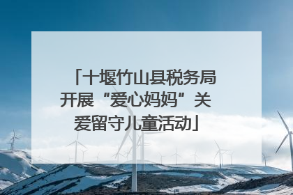 十堰竹山县税务局开展“爱心妈妈”关爱留守儿童活动