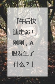 午后快速走弱！刚刚，A股发生了什么？