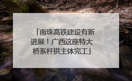 南珠高铁建设有新进展！广西这座特大桥系杆拱主体完工