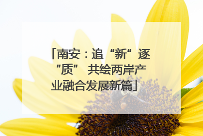 南安：追“新”逐“质” 共绘两岸产业融合发展新篇