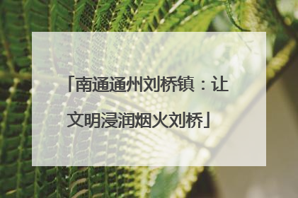 南通通州刘桥镇：让文明浸润烟火刘桥