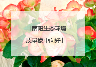 南阳生态环境质量稳中向好