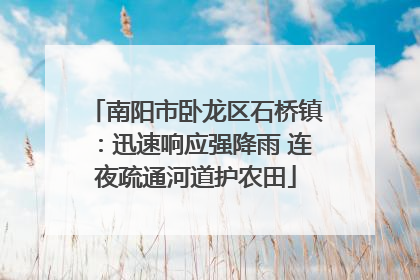 南阳市卧龙区石桥镇：迅速响应强降雨 连夜疏通河道护农田