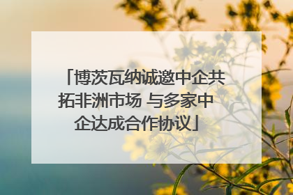 博茨瓦纳诚邀中企共拓非洲市场 与多家中企达成合作协议