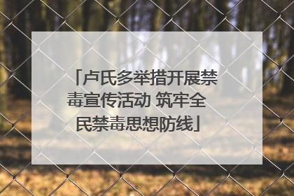 卢氏多举措开展禁毒宣传活动 筑牢全民禁毒思想防线