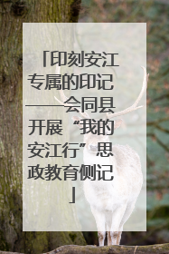 印刻安江专属的印记——会同县开展“我的安江行”思政教育侧记