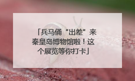 兵马俑“出差”来秦皇岛博物馆啦！这个展览等你打卡
