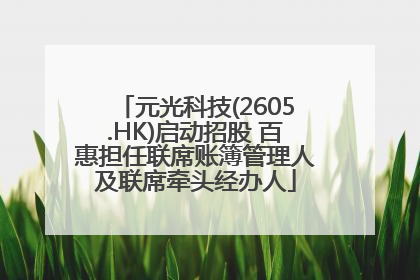 元光科技(2605.HK)启动招股 百惠担任联席账簿管理人及联席牵头经办人