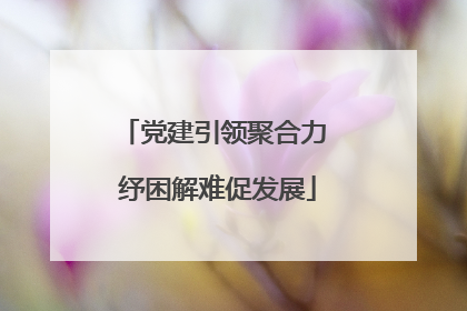 党建引领聚合力 纾困解难促发展