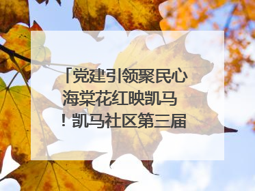 党建引领聚民心 海棠花红映凯马！凯马社区第三届邻里生活节谱写幸福新篇章