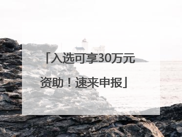 入选可享30万元资助！速来申报