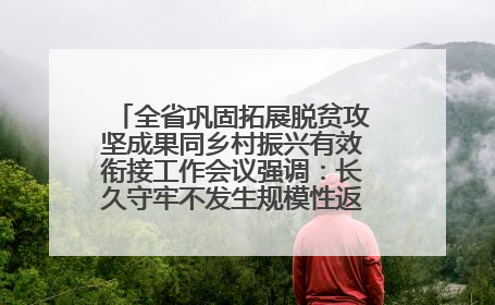 全省巩固拓展脱贫攻坚成果同乡村振兴有效衔接工作会议强调：长久守牢不发生规模性返贫致贫底线 王宁出席并讲话 王予波主持