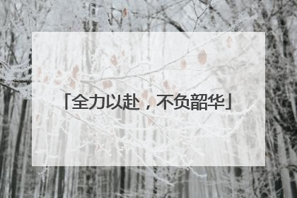 全力以赴，不负韶华