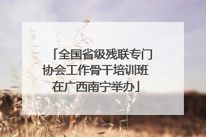 全国省级残联专门协会工作骨干培训班在广西南宁举办