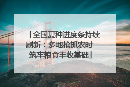 全国夏种进度条持续刷新：多地抢抓农时 筑牢粮食丰收基础