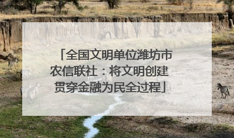 全国文明单位潍坊市农信联社：将文明创建贯穿金融为民全过程