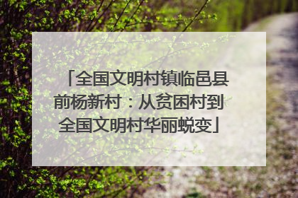 全国文明村镇临邑县前杨新村：从贫困村到全国文明村华丽蜕变