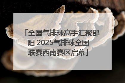 全国气排球高手汇聚邵阳 2025气排球全国联赛西南赛区启幕