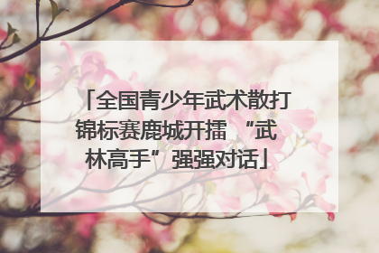 全国青少年武术散打锦标赛鹿城开擂 “武林高手”强强对话