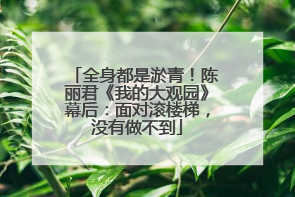 全身都是淤青！陈丽君《我的大观园》幕后：面对滚楼梯，没有做不到