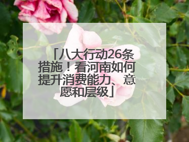 八大行动26条措施！看河南如何提升消费能力、意愿和层级