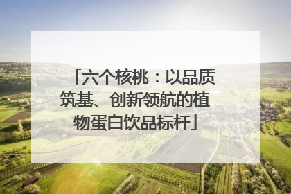六个核桃：以品质筑基、创新领航的植物蛋白饮品标杆